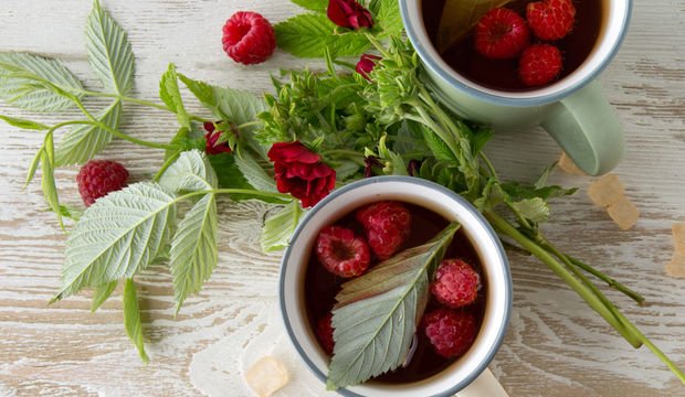 Kadın hastalıkları için ve hamilelikte ahududu yaprağı çayı nasıl içilir?