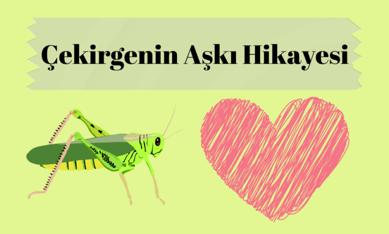 Cekirgenin-Aski-Hikayesi-780x470.png